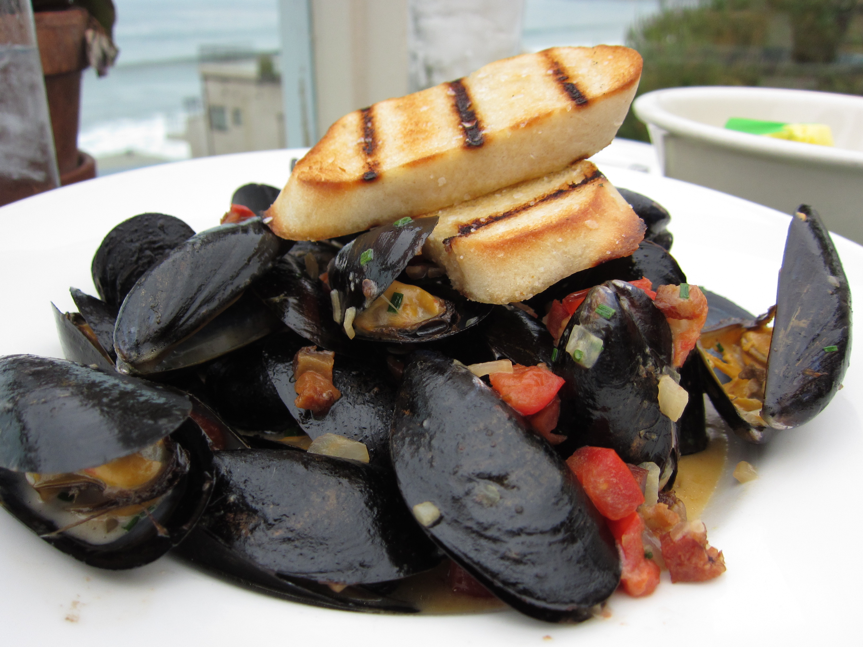 Geoffrey’s Malibu Sauteed Maine Mussels