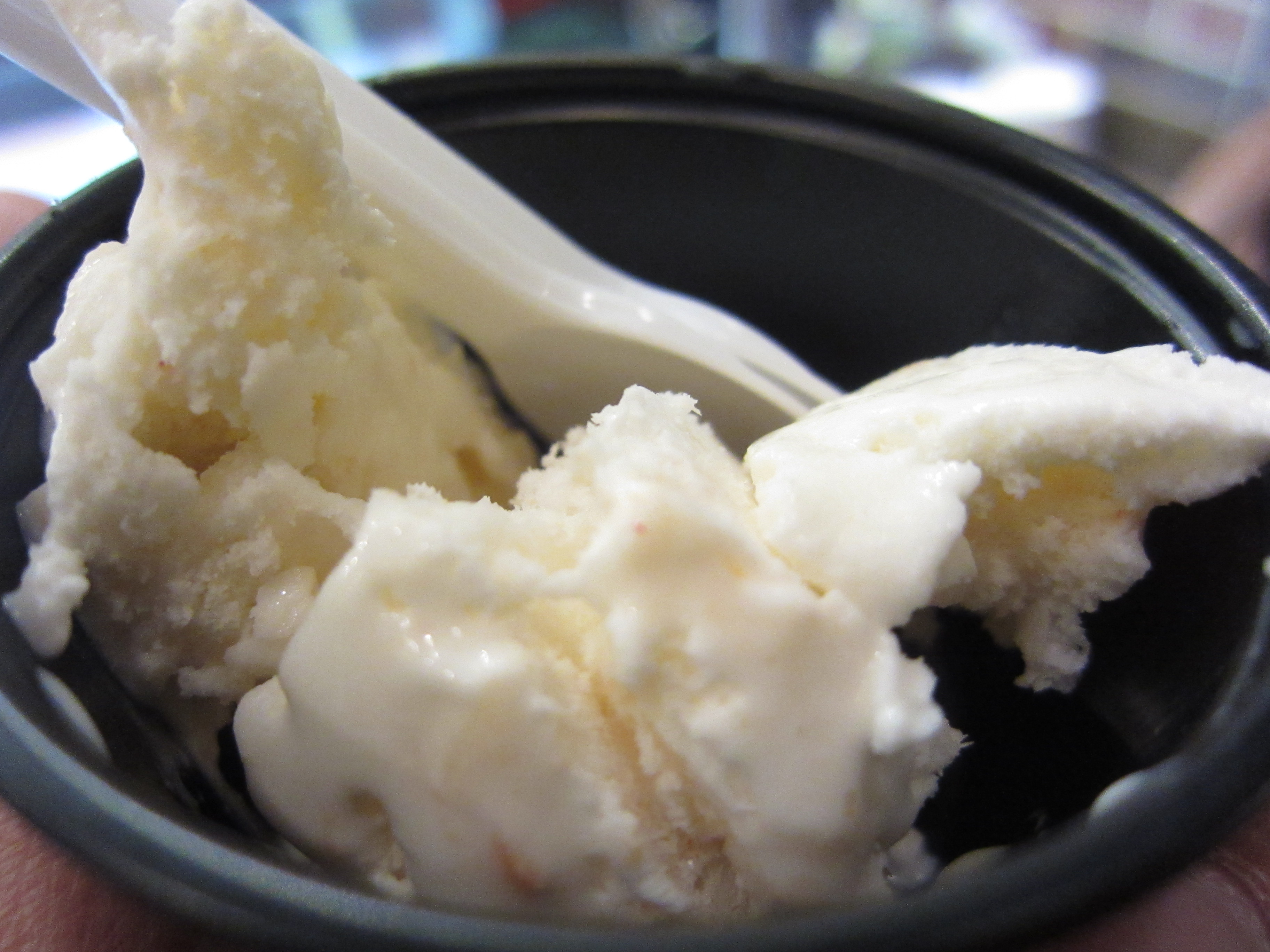 Lobster Me Hollywood Ice Cream